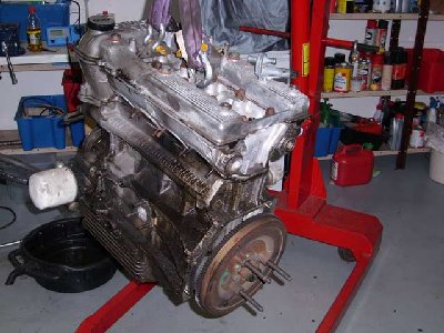 06.jpg