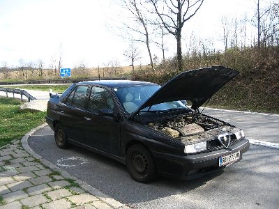 070325 019.JPG