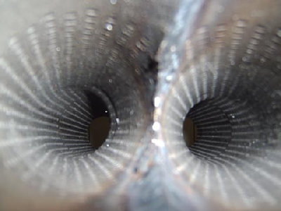 168_esd_03.jpg