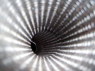 168_esd_05.jpg