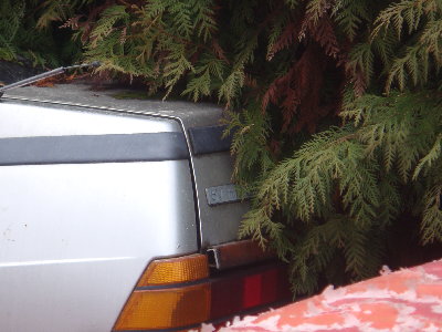 2532 6V.JPG