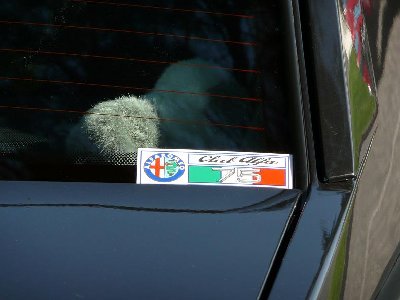 adesivo club75.JPG