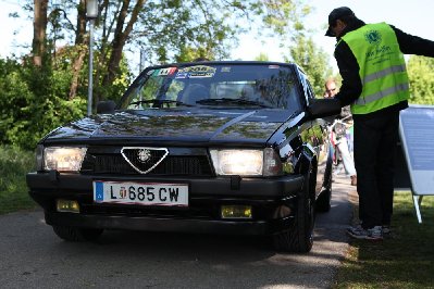 Alfa_75_Lions2.jpg