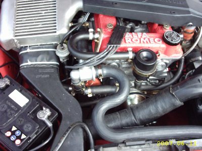 alfa evo2.JPG