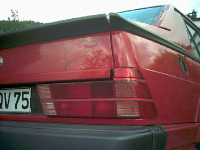 DMC_1006k.jpg