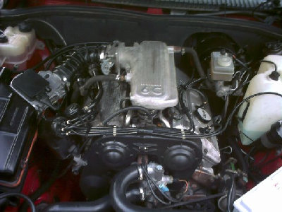 DMC_1016k.jpg