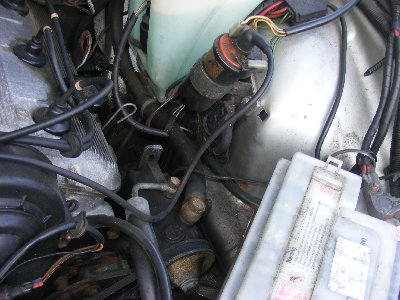 drivers engine bay.JPG
