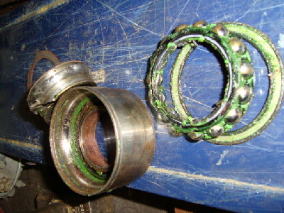 DSC00384.JPG