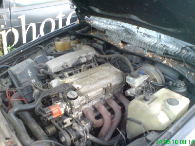 DSC00495.JPG