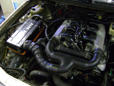 DSC01255.jpg