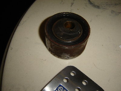 DSC05600.JPG