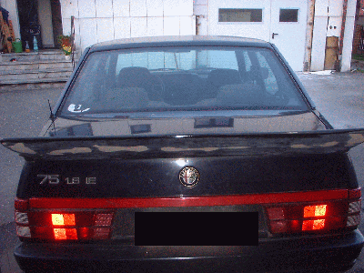 imsaflügel.gif