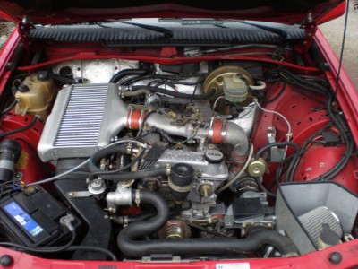P9290157.JPG