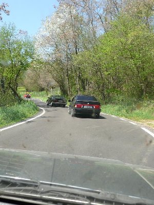 raduno alfa lancia 162.JPG