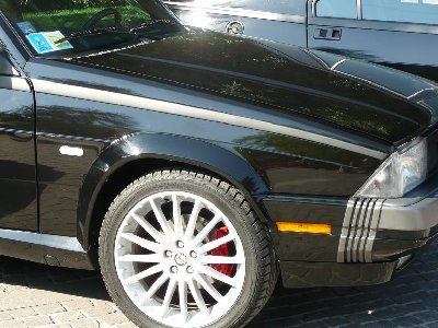 seitenblinker weiß 1.JPG
