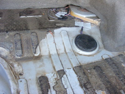 trunk.JPG